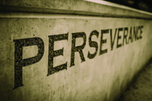 Perseverance_