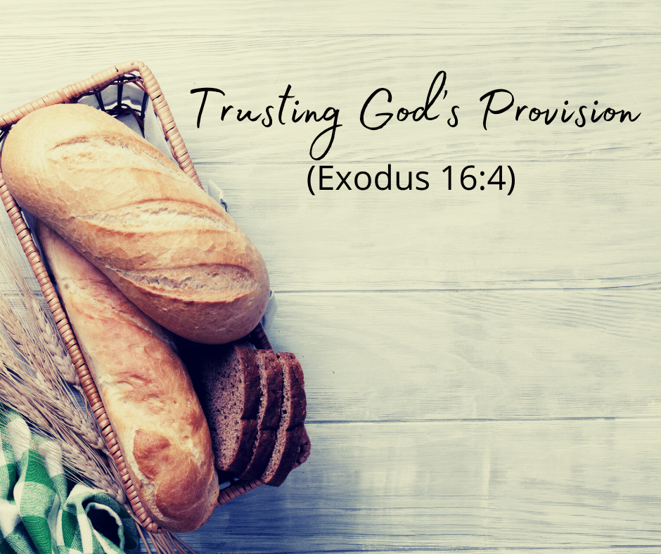 Trusting Gods Provision Exodus 164 Grace Evangelical Society