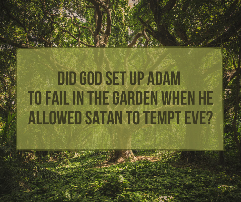 Adam Satan The Garden And Gods Intention Laptrinhx News 9823