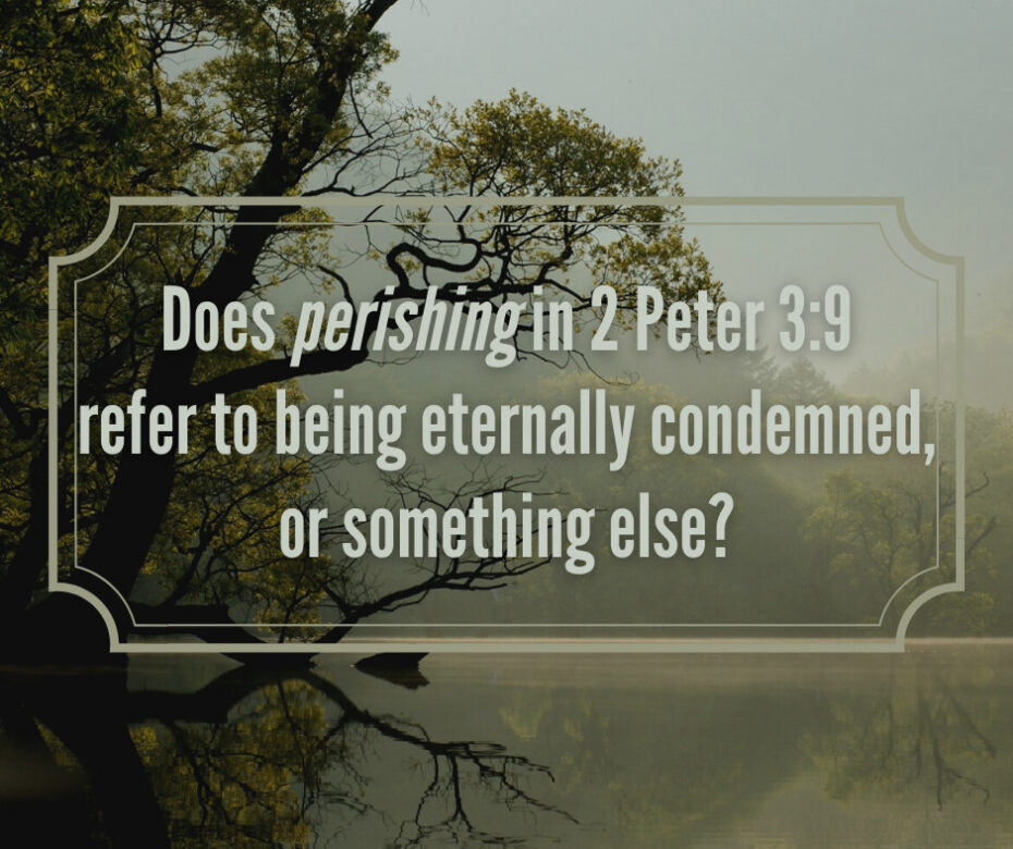 If Repentance Is Turning From Sins, Then Doesn’t 2 Peter 3:9 Teach ...