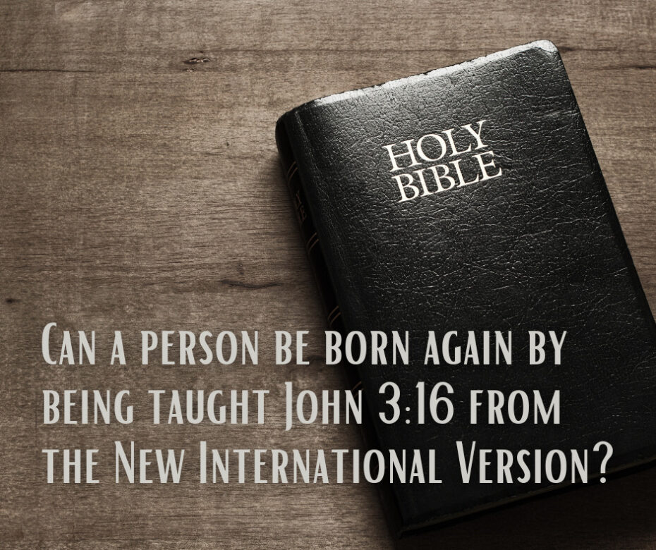 new international version bible scriptures